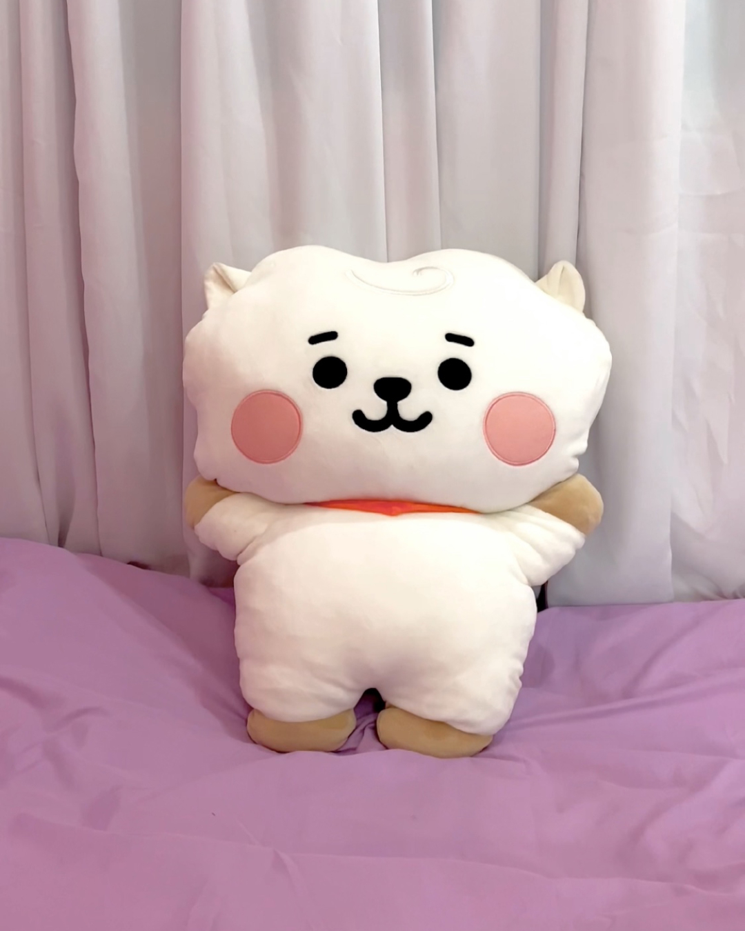 bt21 hug me cushion